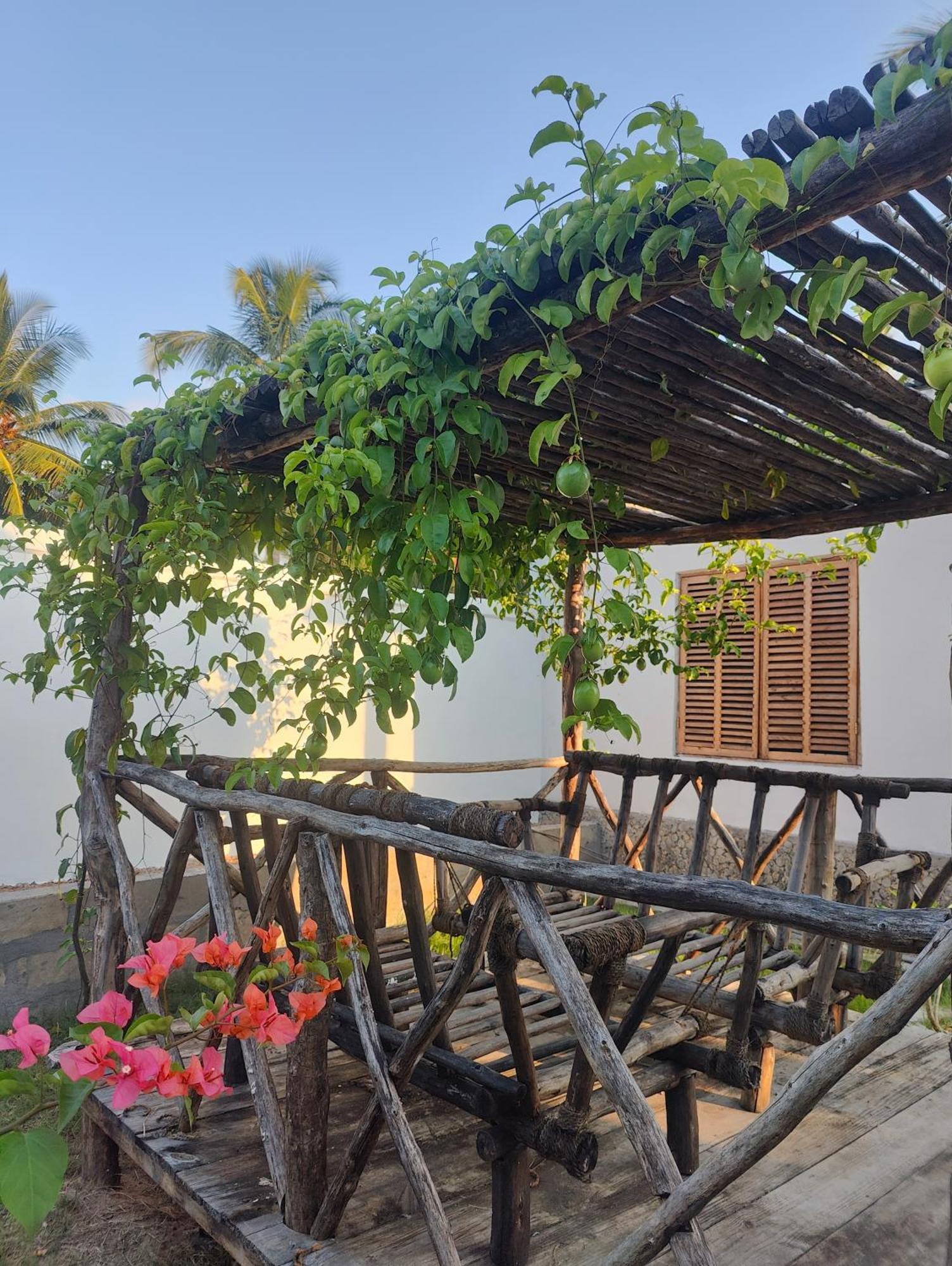 Mafia Island Bungalows Utende Ngoại thất bức ảnh